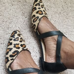 Sole society leopard print flats
